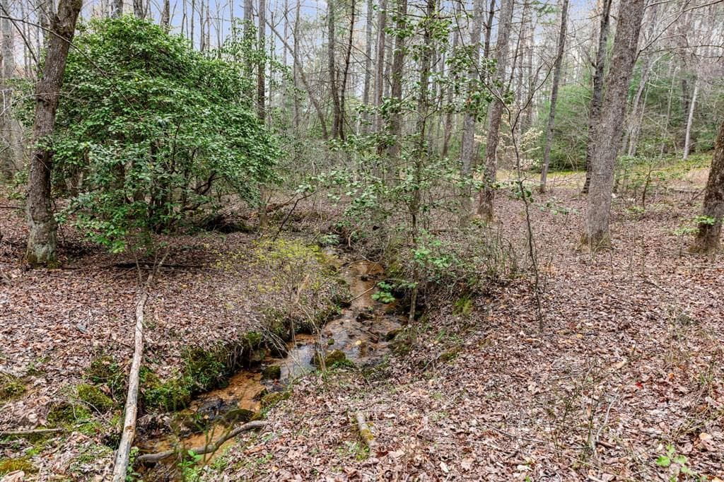 390 Sunny Brook Road, Blue Ridge GA 30513 - Photo