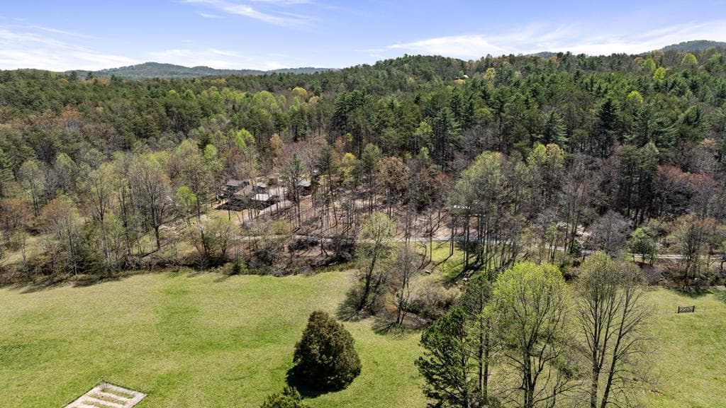 390 Sunny Brook Road, Blue Ridge GA 30513 - Photo