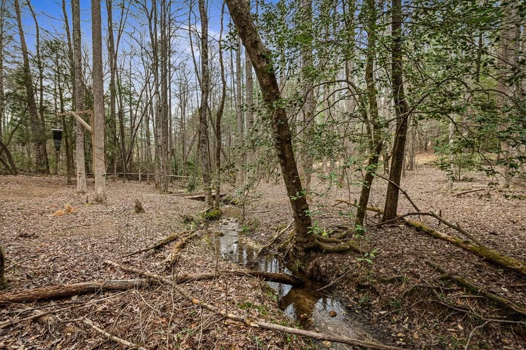 390 Sunny Brook Road, Blue Ridge GA 30513 - Photo