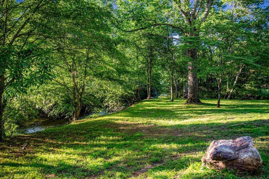 390 Sunny Brook Road, Blue Ridge GA 30513 - Photo