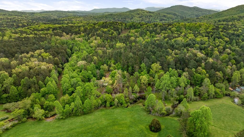 390 Sunny Brook Road, Blue Ridge GA 30513 - Photo