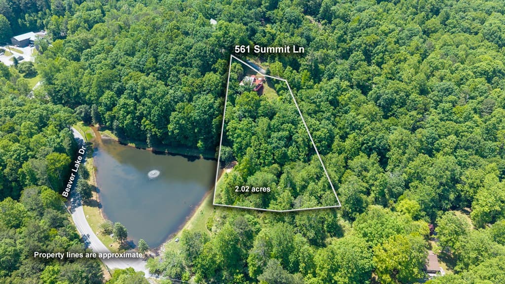 561 Summit Lane, Ellijay GA 30540 - Photo