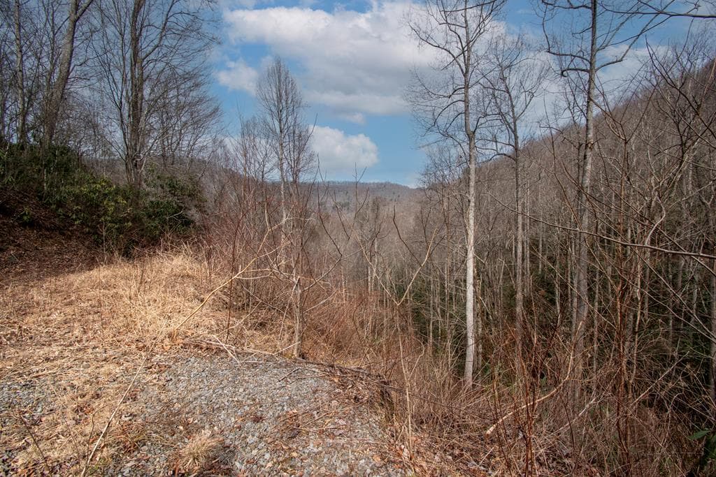 00 Walnut Cove Road, Robbinsville NC 28771 - Photo