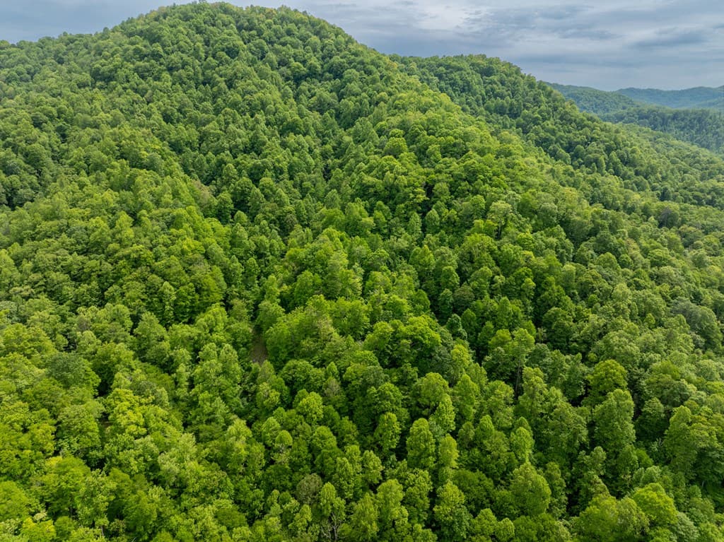 00 Walnut Cove Road, Robbinsville NC 28771 - Photo