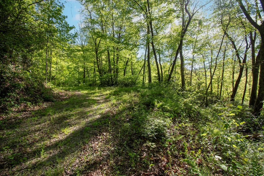 00 Walnut Cove Road, Robbinsville NC 28771 - Photo
