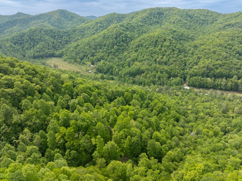 00 Walnut Cove Road, Robbinsville NC 28771 - Photo