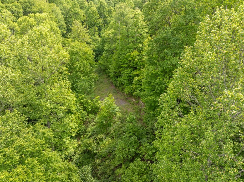 00 Walnut Cove Road, Robbinsville NC 28771 - Photo