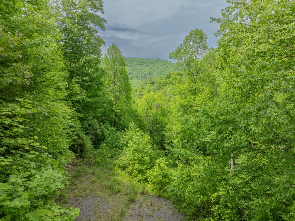 00 Walnut Cove Road, Robbinsville NC 28771 - Photo
