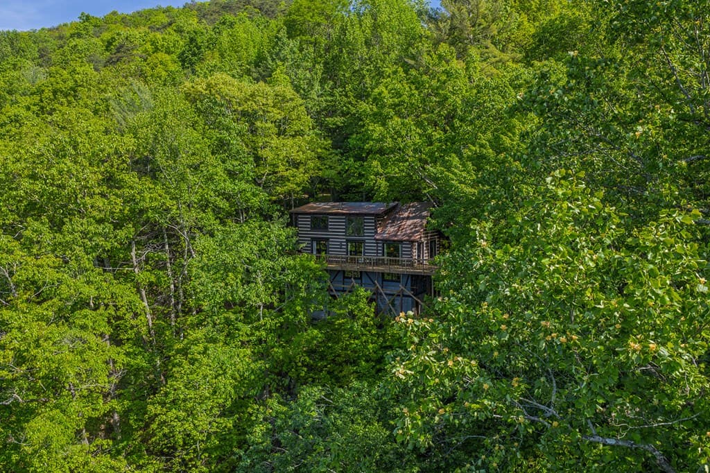 1049 Rockwater Road, Ellijay GA 30536 - Photo