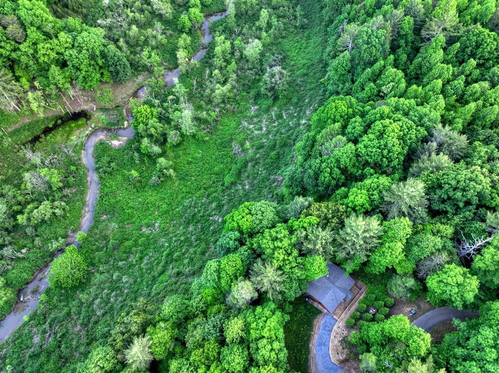 120 Christopher Drive, Ellijay GA 30540 - Photo
