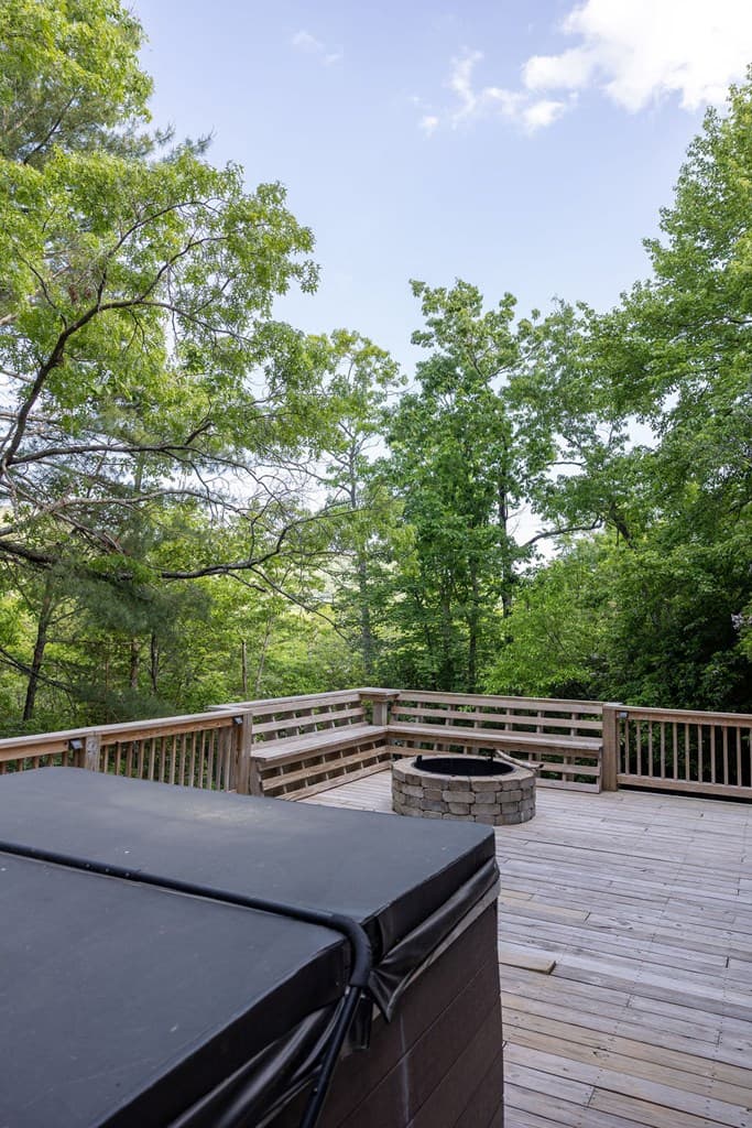 351 John Dick Overlook, Blue Ridge GA 30513 - Photo
