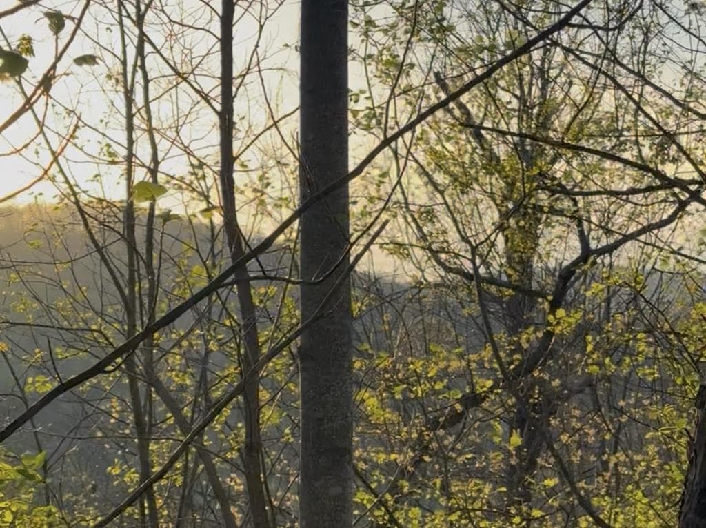 Lot 5 The Heights, Cherry Log GA 30522 - Photo