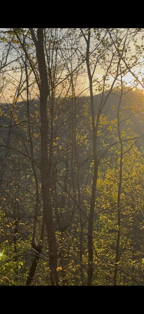 Lot 5 The Heights, Cherry Log GA 30522 - Photo