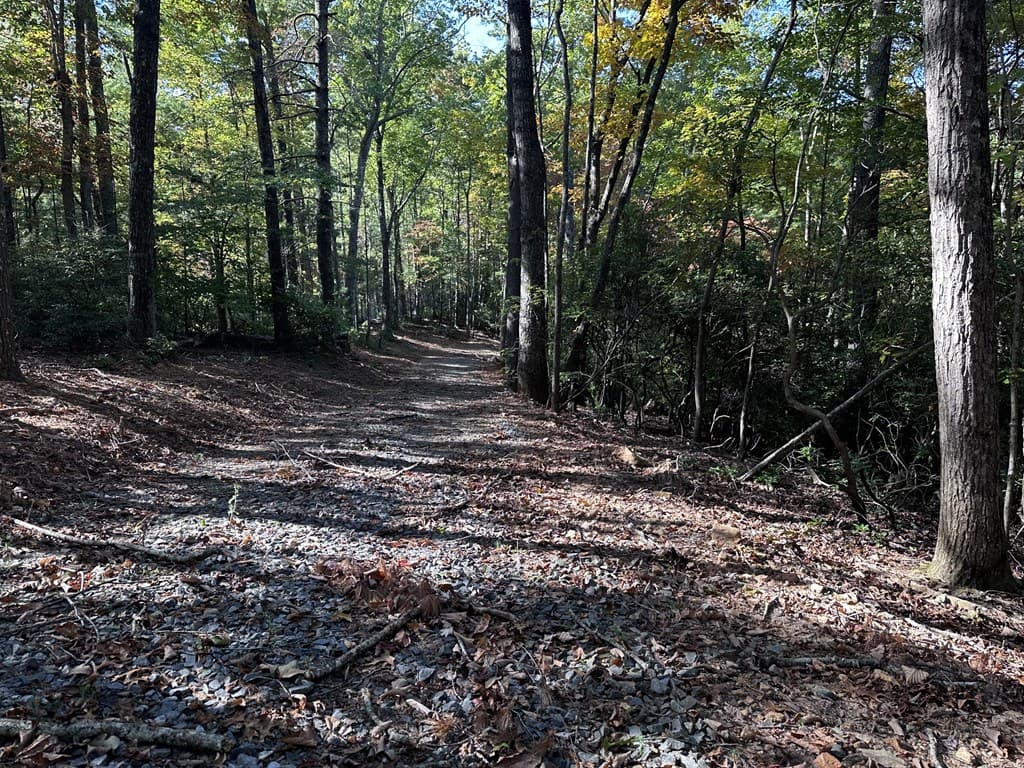 3A Turniptown Road, Ellijay GA 30536 - Photo