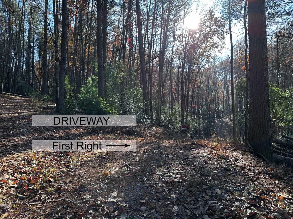 3A Turniptown Road, Ellijay GA 30536 - Photo