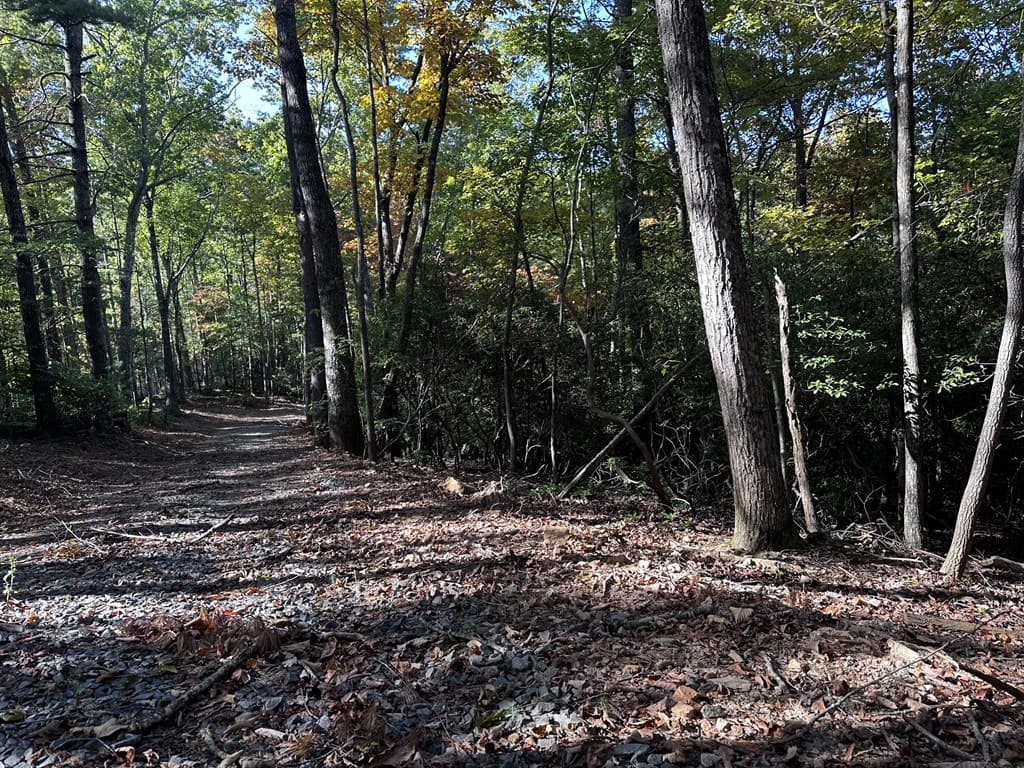 3A Turniptown Road, Ellijay GA 30536 - Photo