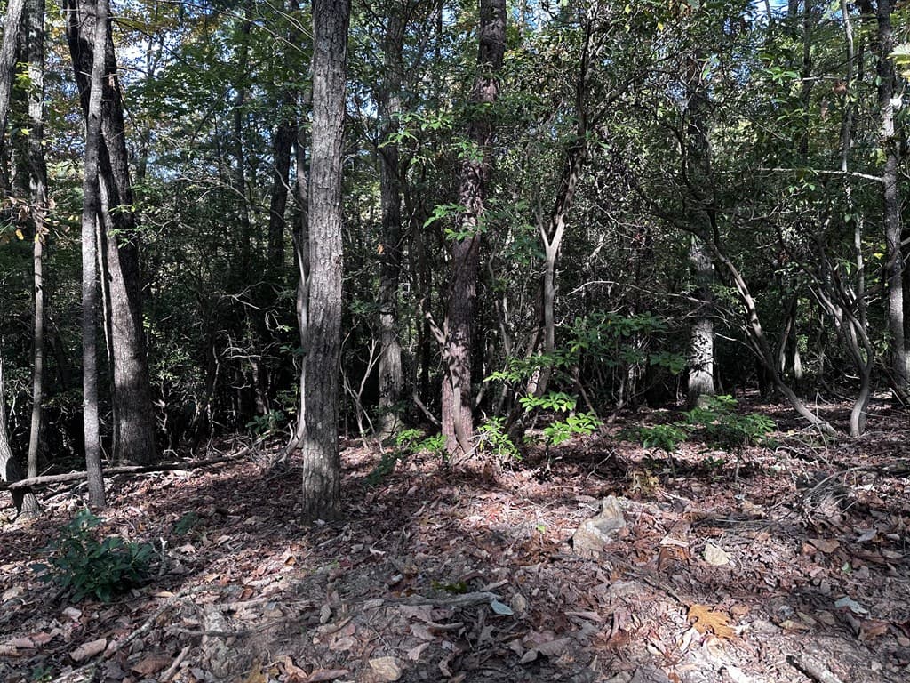 3A Turniptown Road, Ellijay GA 30536 - Photo