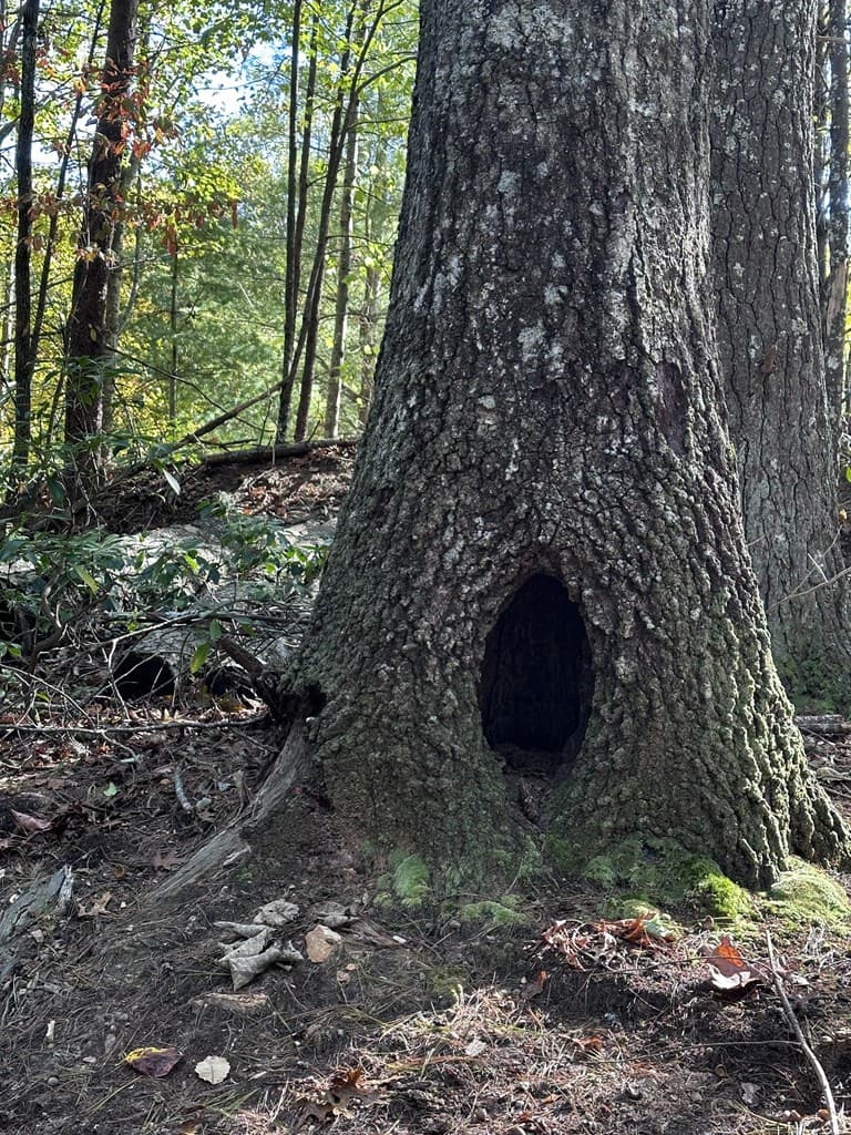 3A Turniptown Road, Ellijay GA 30536 - Photo