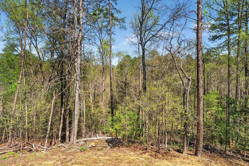 54 Barbs Way, Mineral Bluff GA 30559 - Photo