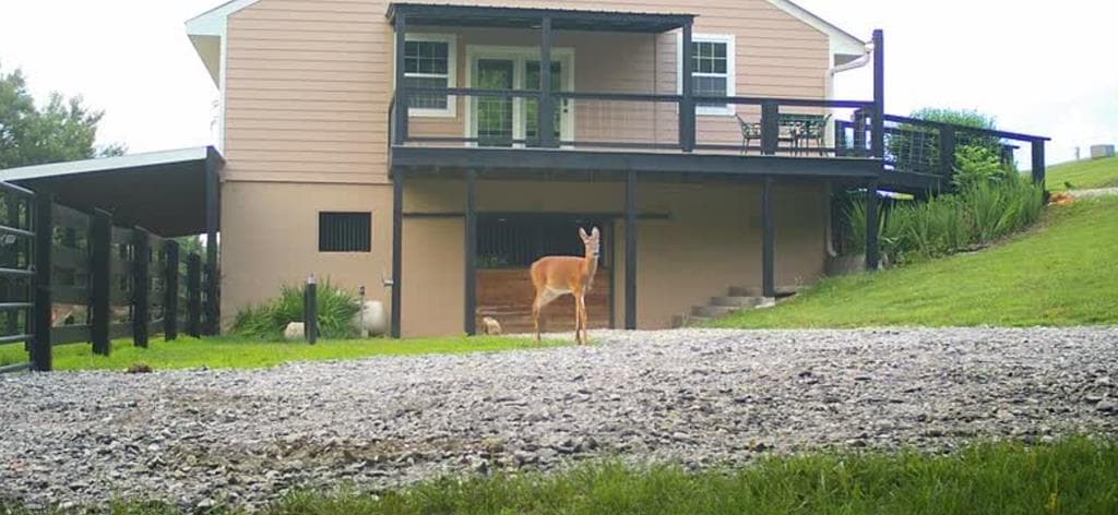 166 Richard Road, Blairsville GA 30512 - Photo
