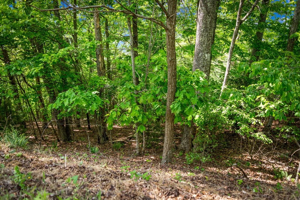 Lot 8 Ada Ridge Road, Mineral Bluff GA 30559 - Photo