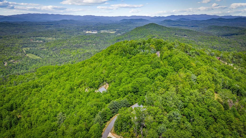 Lot 8 Ada Ridge Road, Mineral Bluff GA 30559 - Photo