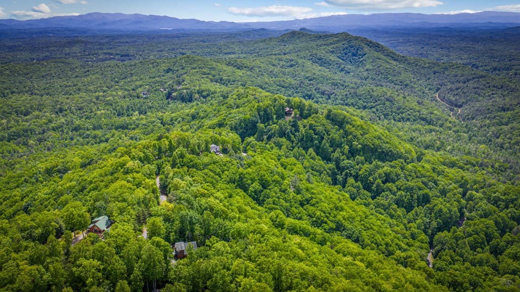 Lot 8 Ada Ridge Road, Mineral Bluff GA 30559 - Photo