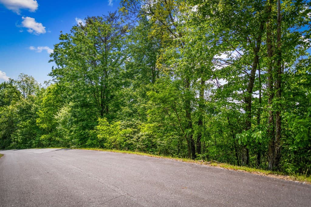 Lot 8 Ada Ridge Road, Mineral Bluff GA 30559 - Photo