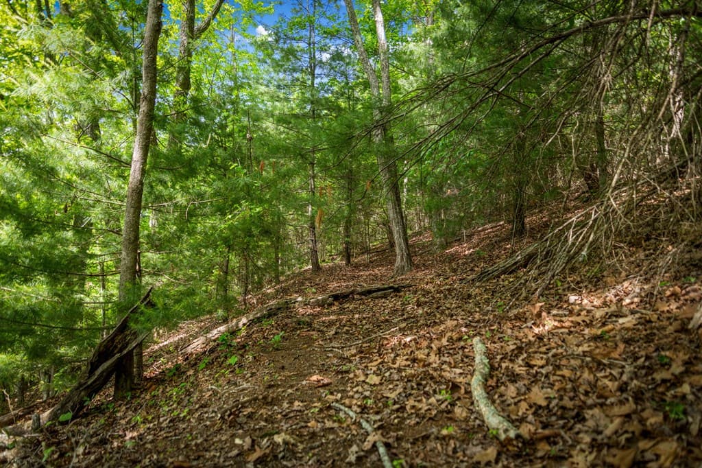 Lot 8 Ada Ridge Road, Mineral Bluff GA 30559 - Photo