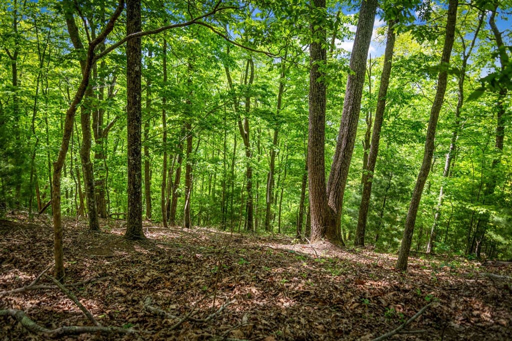 Lot 8 Ada Ridge Road, Mineral Bluff GA 30559 - Photo