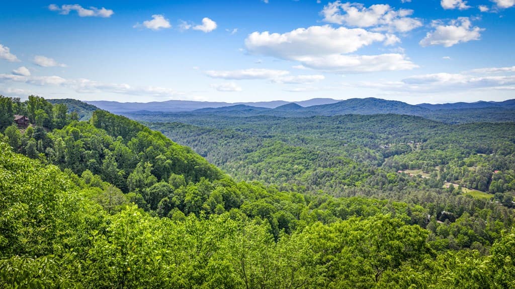 Lot 8 Ada Ridge Road, Mineral Bluff GA 30559 - Photo