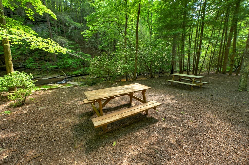 Lot 106 Mountain Creek Hollow Drive, Talking Rock GA 30175 - Photo
