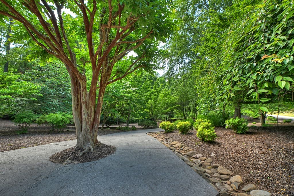 Lot 106 Mountain Creek Hollow Drive, Talking Rock GA 30175 - Photo