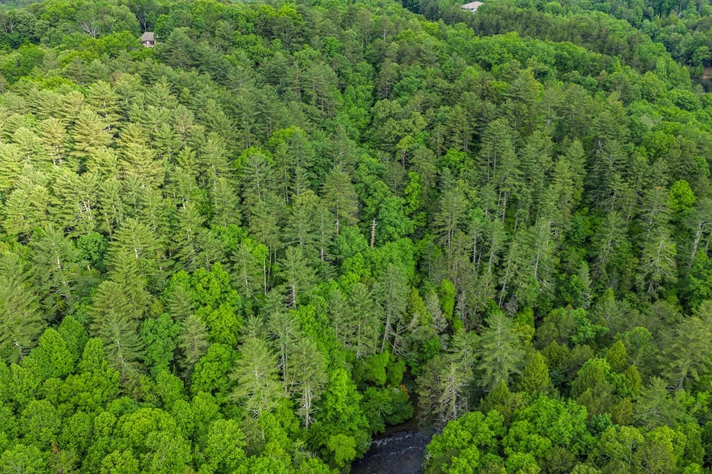 Lot 171 Shenendoa Drive, Ellijay GA 30540 - Photo