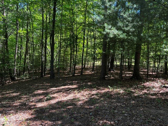 1190 Maple Grove Road, Morganton GA 30560 - Photo