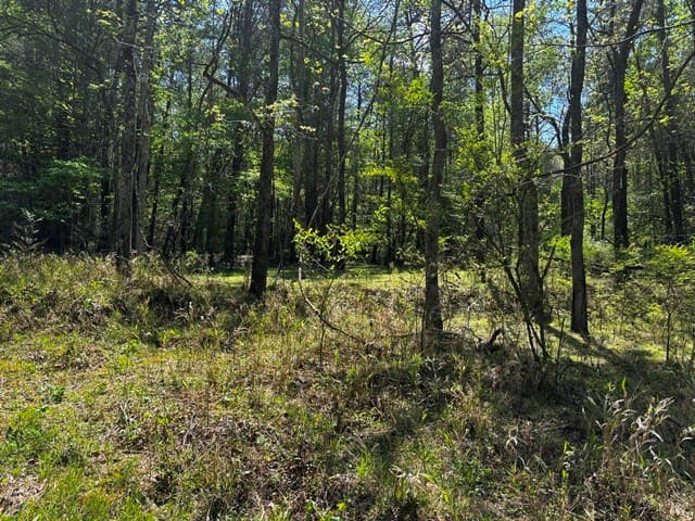 1190 Maple Grove Road, Morganton GA 30560 - Photo