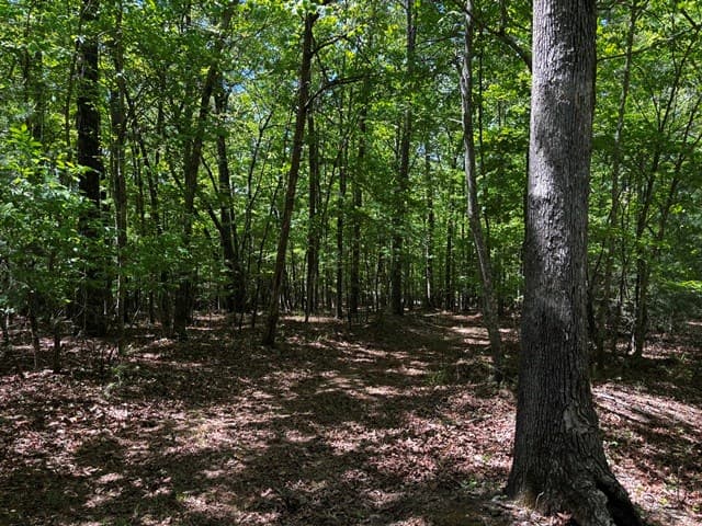 1190 Maple Grove Road, Morganton GA 30560 - Photo