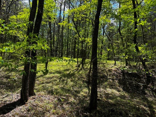 1190 Maple Grove Road, Morganton GA 30560 - Photo