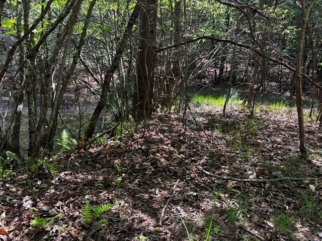 1190 Maple Grove Road, Morganton GA 30560 - Photo