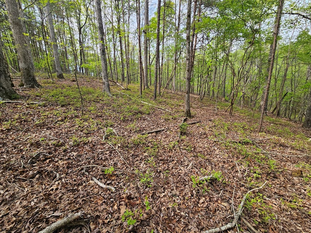 0 Talc Mine Road, Jasper GA 30143 - Photo