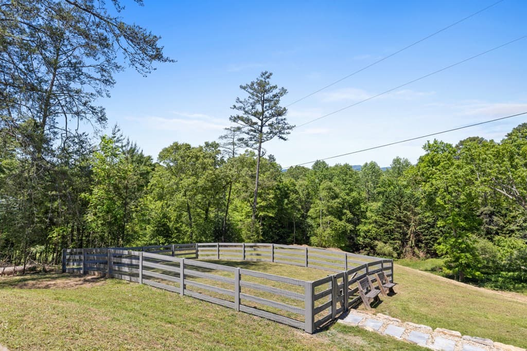 100 Blueberry Road, Blue Ridge GA 30513 - Photo