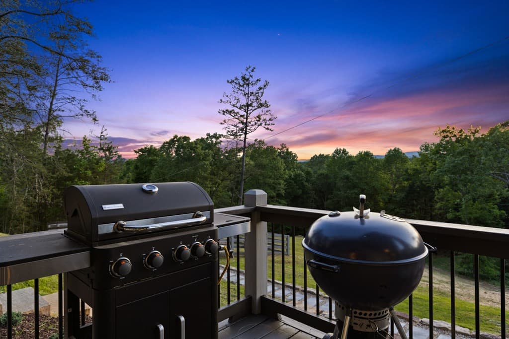 100 Blueberry Road, Blue Ridge GA 30513 - Photo