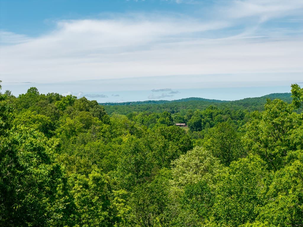 Lot 7 Briar Creek Court, Morganton GA 30560 - Photo