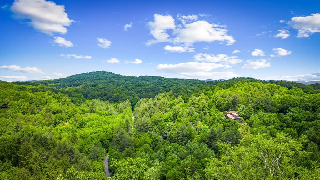 Lt 379 Dream Catcher, Blue Ridge GA 30513 - Photo