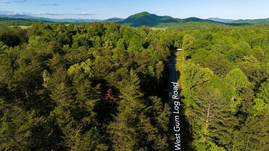 TR 3 W Gum Log Road, Warne NC 28909 - Photo