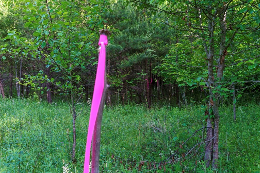 TR 1&2 W Gum Log Road, Warne NC 28909 - Photo