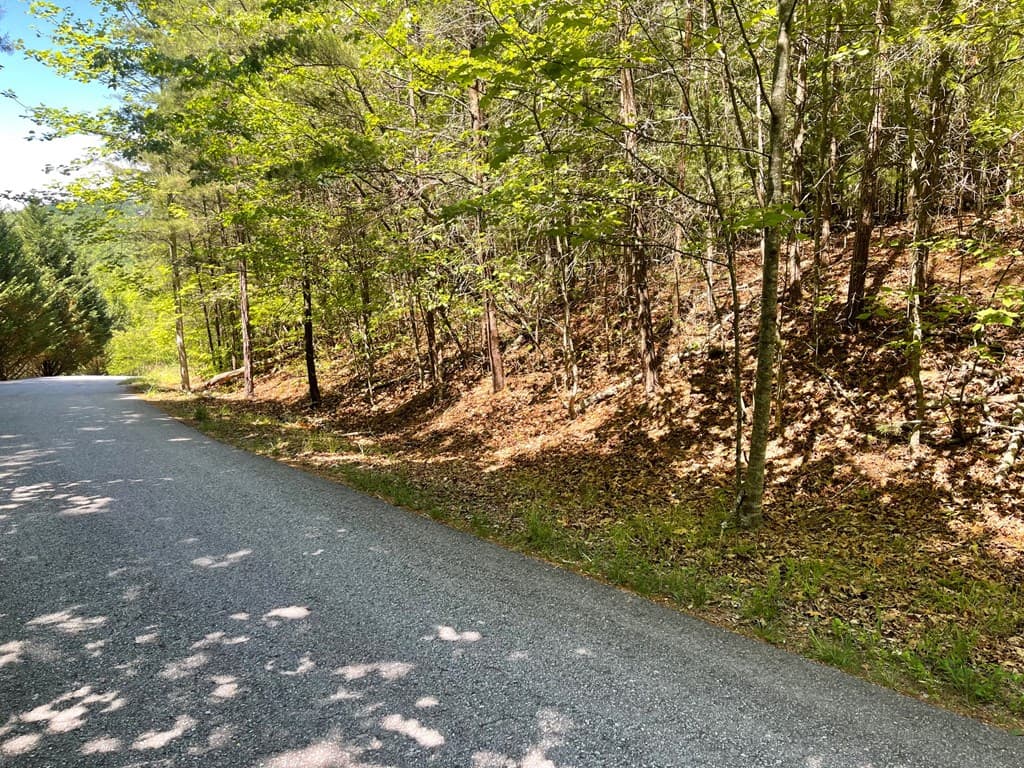 Lot 2 Mount Pleasant Ridge Road, Blairsville GA 30512 - Photo