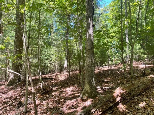 Lot 2 Mount Pleasant Ridge Road, Blairsville GA 30512 - Photo