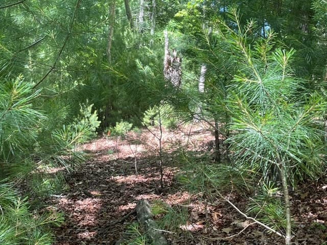 Lot 2 Mount Pleasant Ridge Road, Blairsville GA 30512 - Photo