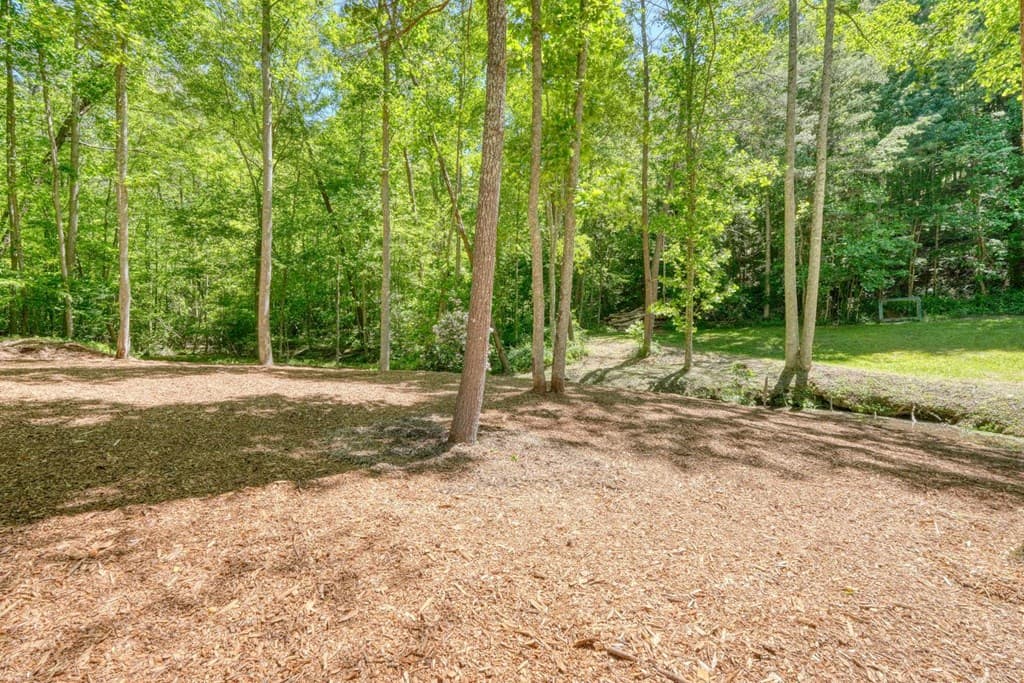 4836 Owltown Road, Blairsville GA 30512 - Photo